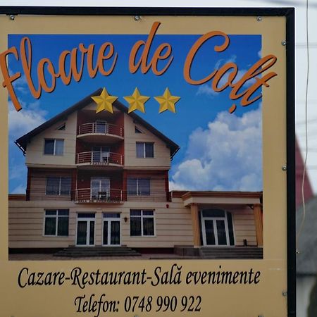 Floare De Colt Hotel Berbesti ภายนอก รูปภาพ