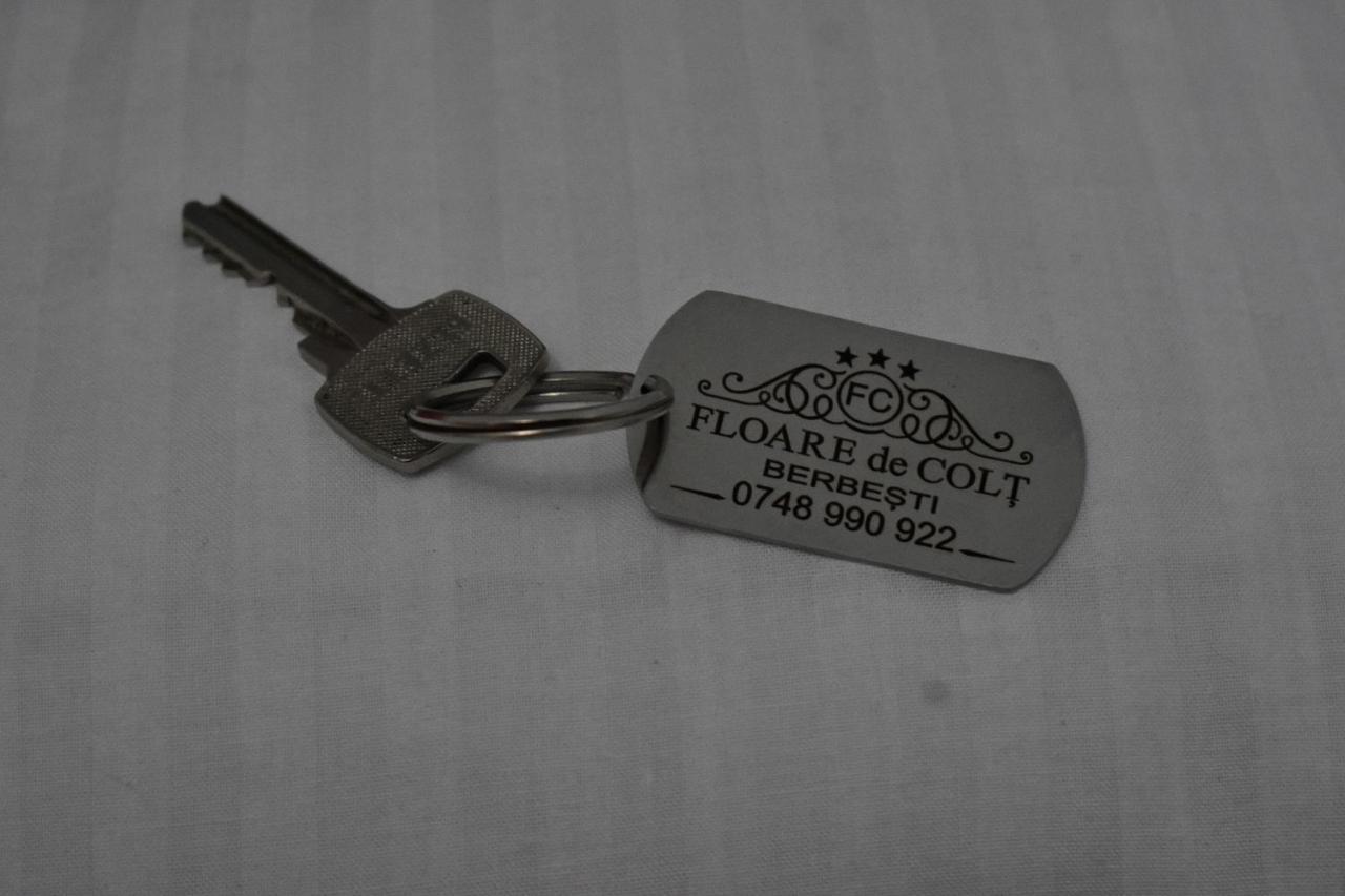 Floare De Colt Hotel Berbesti ภายนอก รูปภาพ